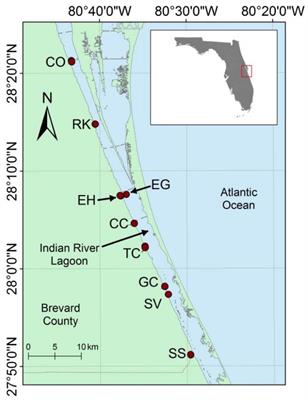 Biological Abundance and Diversity in Organic-Rich Sediments From a Florida Barrier Island Lagoon